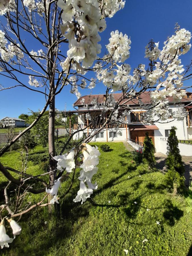 Vila Tara Hategului Экстерьер фото